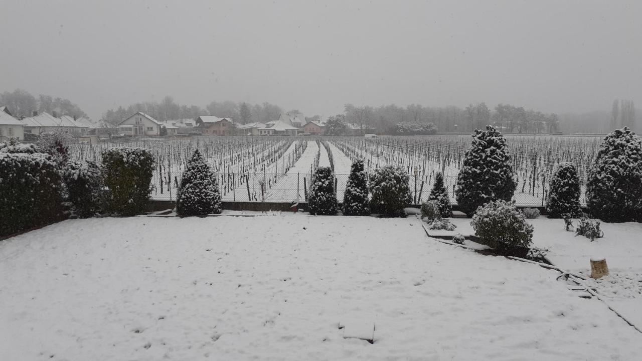 Aux Pieds Des Vignes Bed & Breakfast Ingersheim Luaran gambar