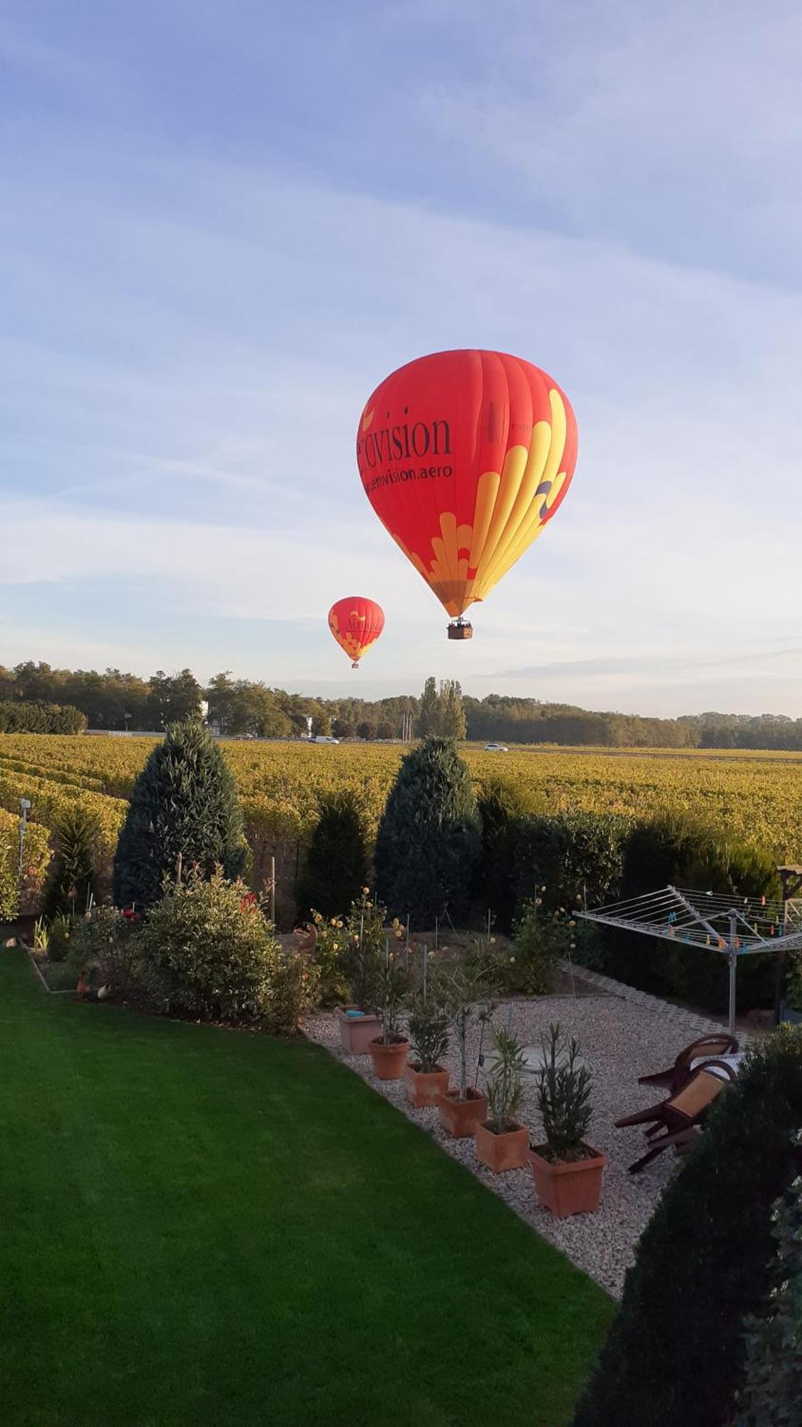 Aux Pieds Des Vignes Bed & Breakfast Ingersheim Luaran gambar